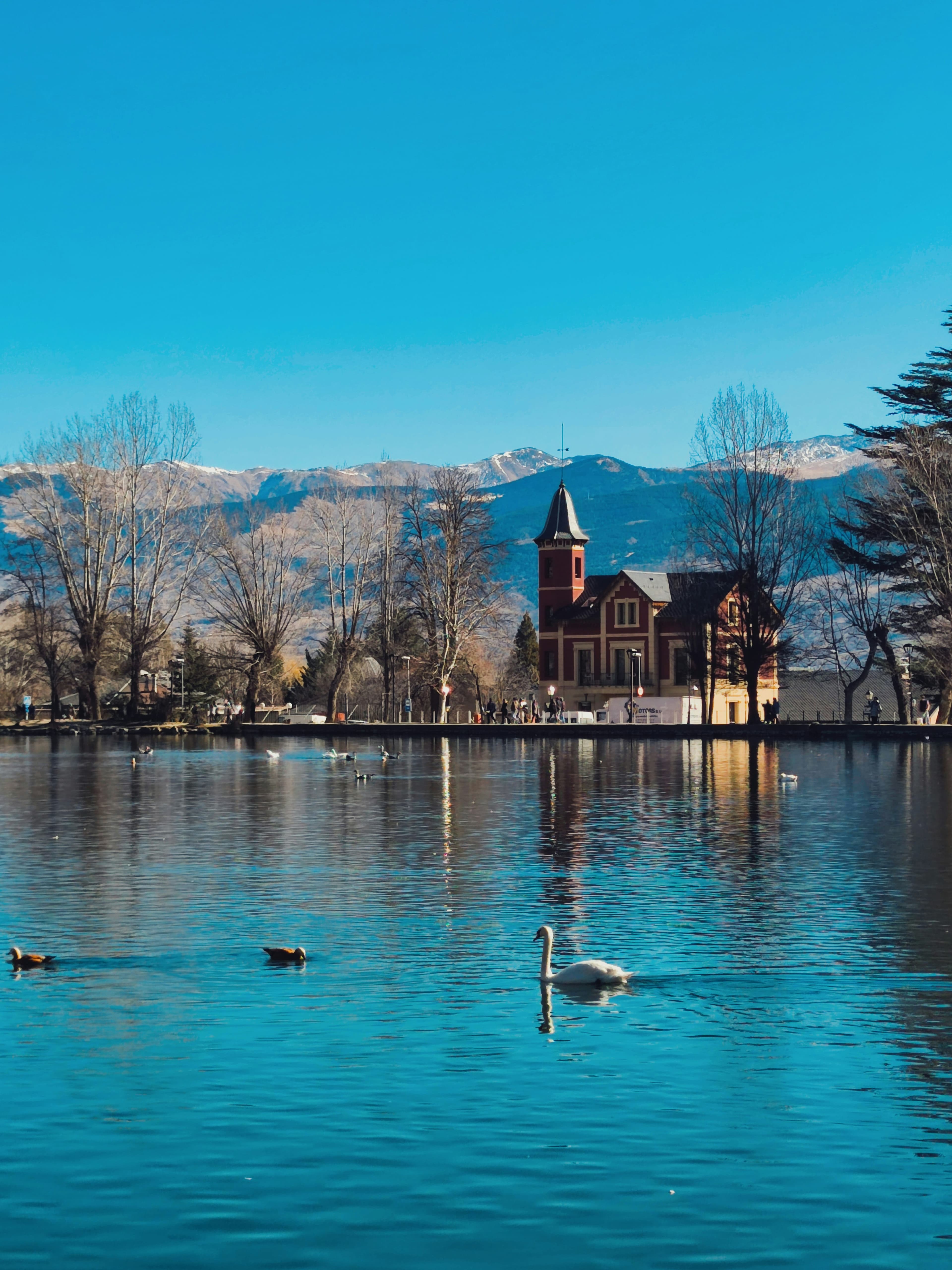 Puigcerdà